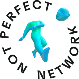 Not Perfect logo